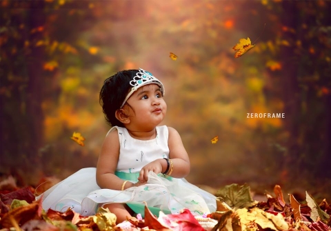 Zeroframe Photography	