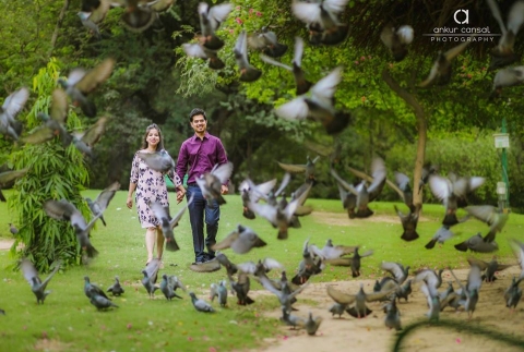 Ankur Cansal Photography	