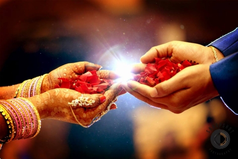 Snaapshot Photography	