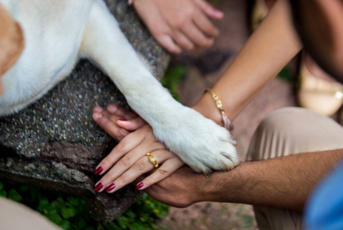 Vikrams photography 1