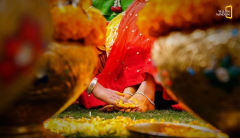 Yellow Window Photography