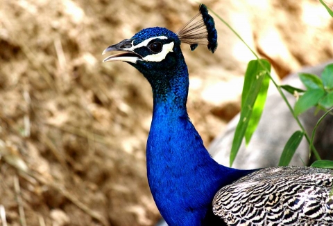 Camliquor Photography