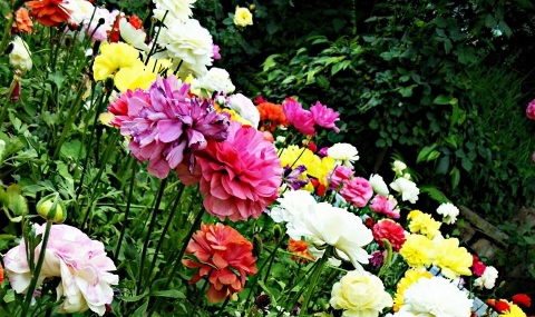 Camliquor Photography