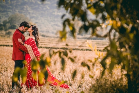 Wedding Tales Pictures