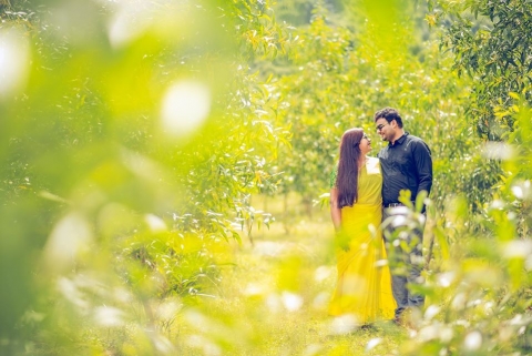 Wedding Tales Pictures