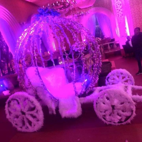 BWD wedding Pvt Ltd