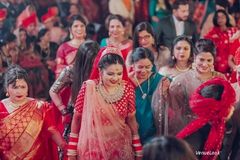 Light Strokes Photography