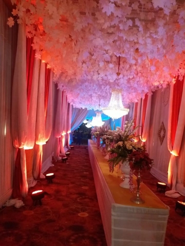 The Party Chef Caterers