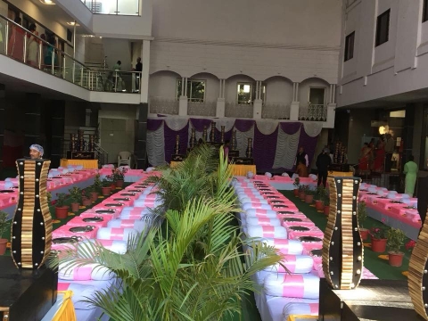 Shree Celebrations Premium Cat