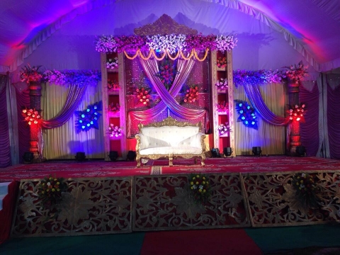 Shiv Shakti Tent House and Cat