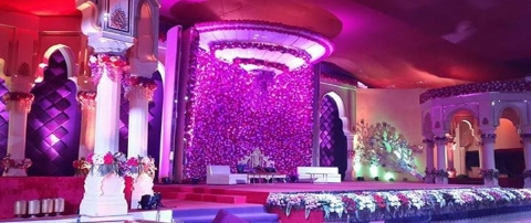 Shiv Shakti Tent House and Cat