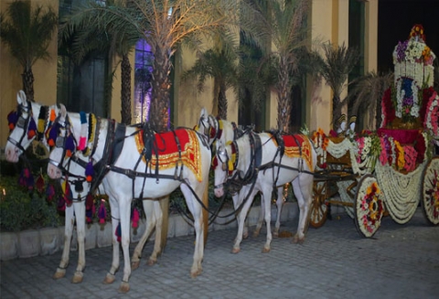 Sindhi Hira Nand Ghori Wala