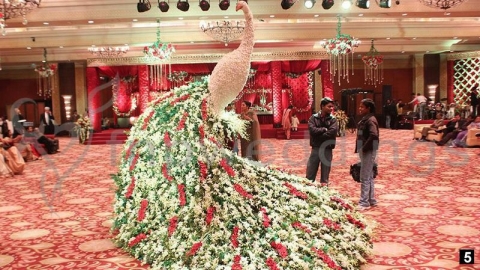 Royal Catering Service and Eve