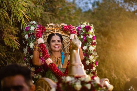 My Shutter Clicks Photography	