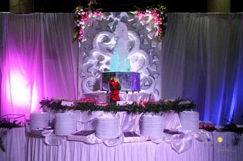 Catpro by Girish Desai