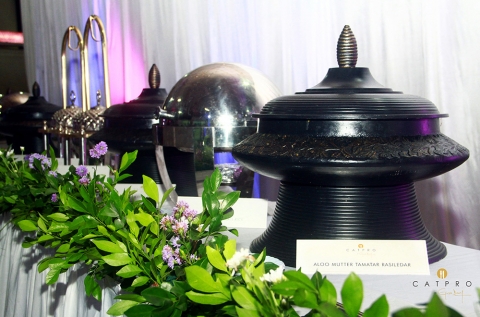 Catpro by Girish Desai