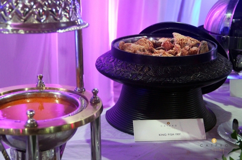 Catpro by Girish Desai