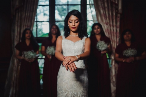 Vivek Krishnan photography	