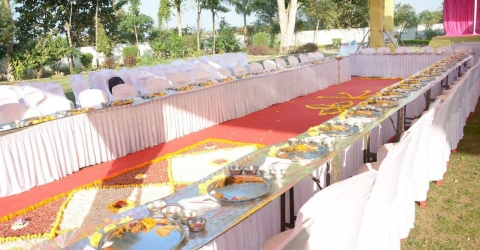 Celebration Event Organizer