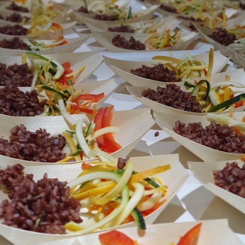 The Gourmet Kitchen N Studios