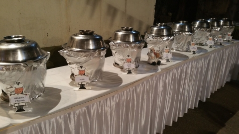 Vijan Caterers