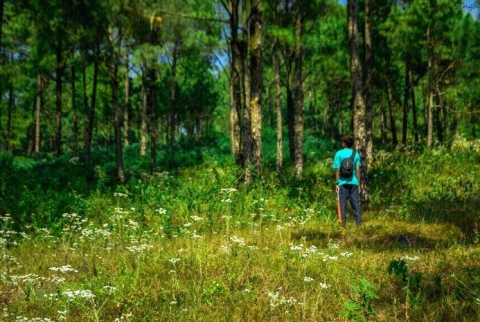 Raj Nayak Photography