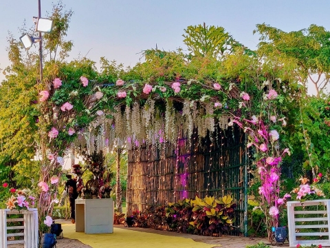 Wedding Lights Events