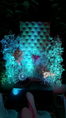 Essence Of Occasions