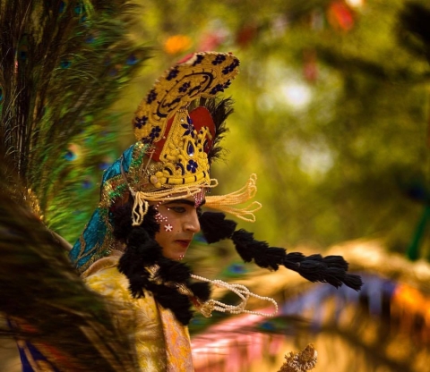 Atul Sharma Photography