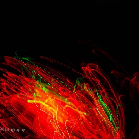 Panache by Aryan Verma