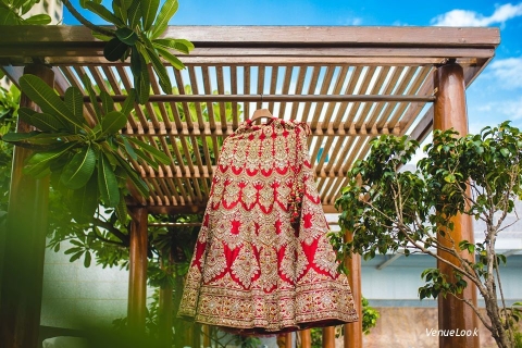 Girl in Pink Photography	6