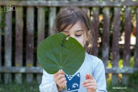 Very Beautiful Click