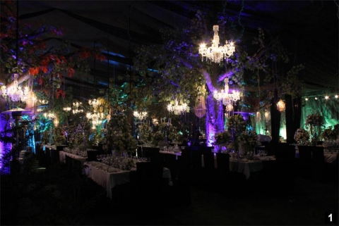 IFD Wedding Planners