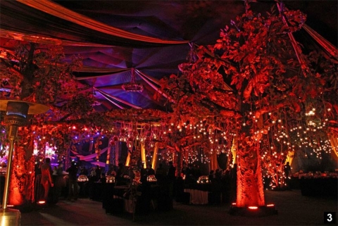 IFD Wedding Planners