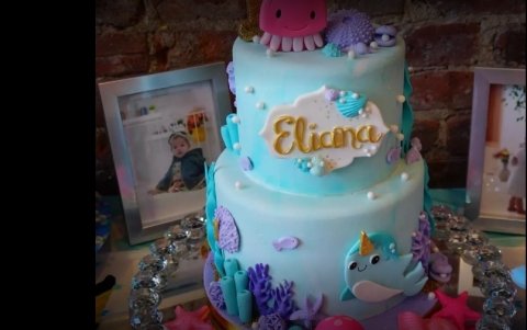 Mr. & Mrs. Weddings Planner an