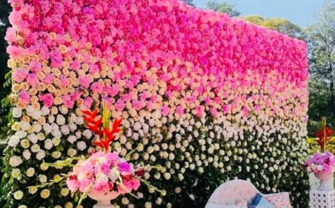 Fine Touch Event Planner