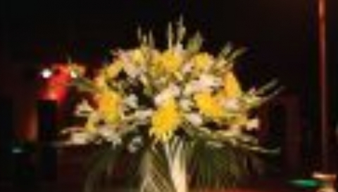 Shri Events Group Pvt Ltd 