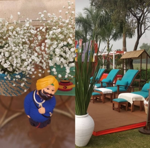 Vibrante Event & Wedding Plann