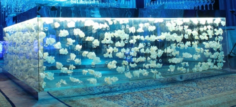 Pristine Events & Marketing