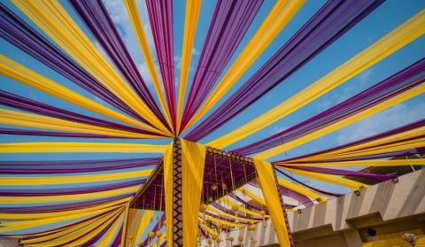 Panacea Entertainment