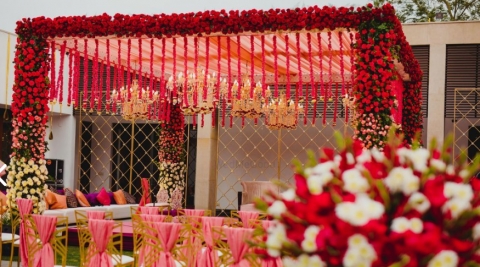 Panacea Entertainment