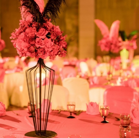 Dream Indian Weddings