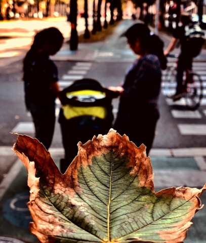 Photographers Treat Photograph