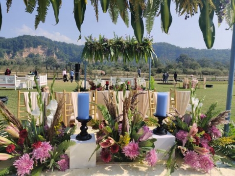Hyacinth Events  Planners