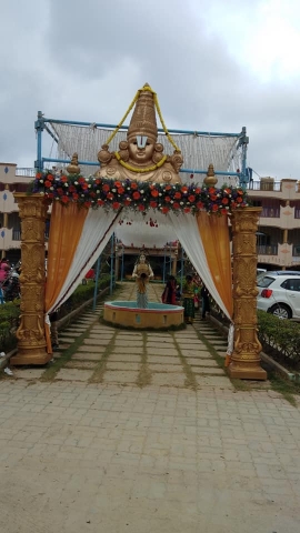 Sheshu Decorations and Events 