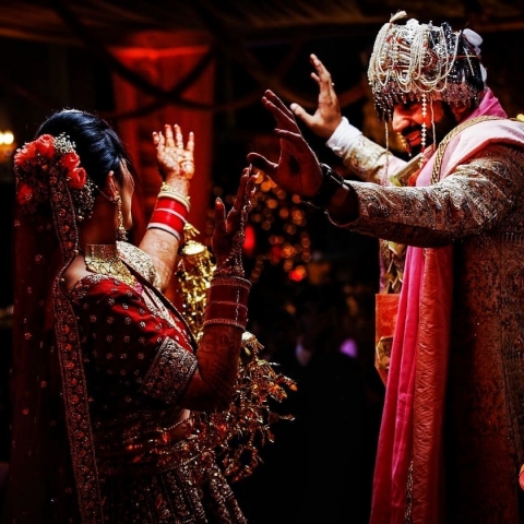 Photosynthesis - Photography S