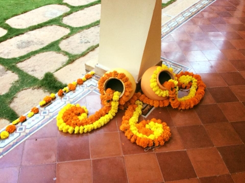 Pomp and Plush Decor