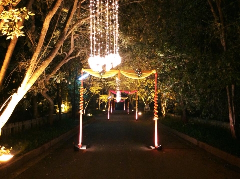 Pomp and Plush Decor