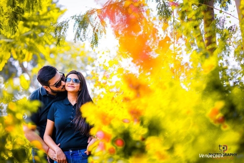 The Photography Paradise