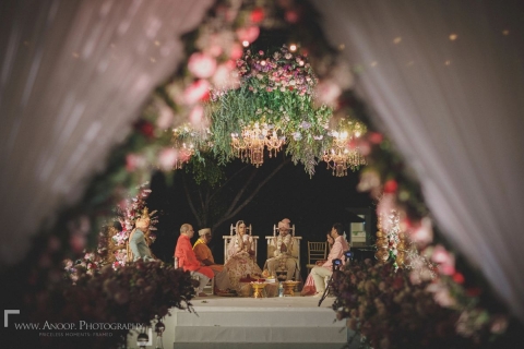 The Mogra Collective